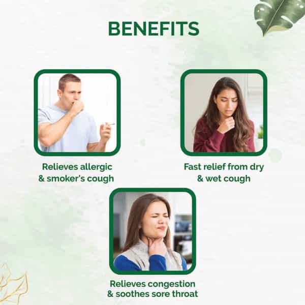 Dr. Vaidya's Tulsi Ginger Cough Syrup - 100 Ml - Pack Of 3
