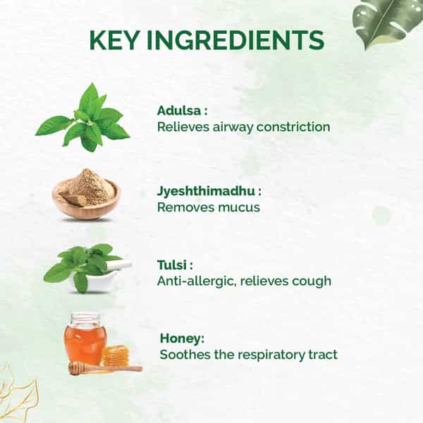 Dr. Vaidya's Tulsi Ginger Cough Syrup - 100 Ml - Pack Of 3