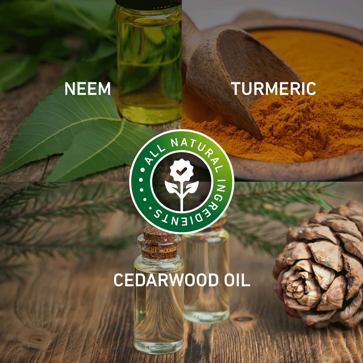 Buy SVISH ON THE GO ANTICHAFING ROLL ON FOR MEN (50 ML) REDUCES INNER