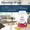 Oribite Power X Performance Boosting Capsules For Energy 60 Capsules