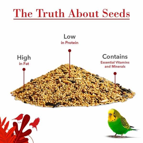 Drools Bird Food For Budgies With Mixed Seeds 1Kg