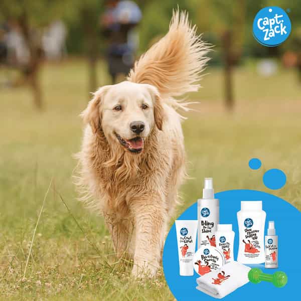 Captain Zack -The Golden Retriever Box -Ultimate 8-In-1 Head-To-Paw Groom-Kit For Your Dog
