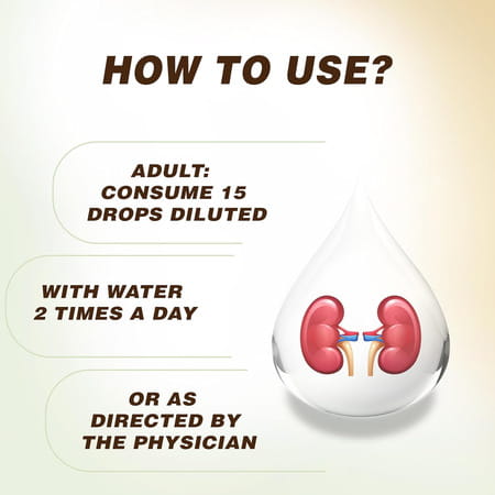 Jeena Sikho Js-Ckd Drop | For Kidney Wellbeing | Drops For Kidney Care | 30 Ml