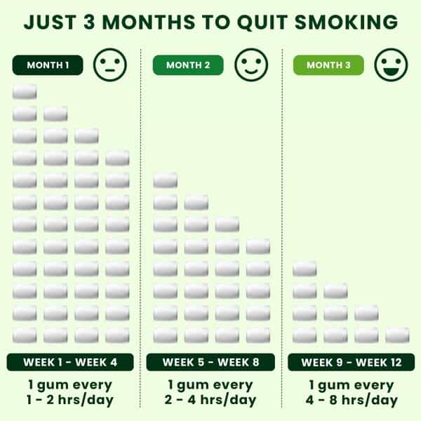 Nixit Nicotine Frost Mint Gums 2Mg Sugar-Free Bigger Size (Pack Of 3) - Helps Quit Smoking