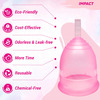 Gynocup Premium Menstrual Cup For Women Fda Approved |Pink | Small Size