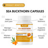 Sushain Sea Buckthorn Capsules With Vitamin C And Omega 7 - 60 Capsules