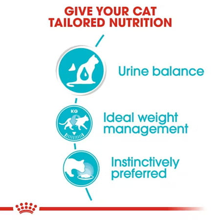 Royal Canin Urinary Care For Adult Cats | 85 Grams | Pack Of 12 Sachet | Wet Food