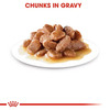 Royal Canin Urinary Care For Adult Cats | 85 Grams | Pack Of 12 Sachet | Wet Food