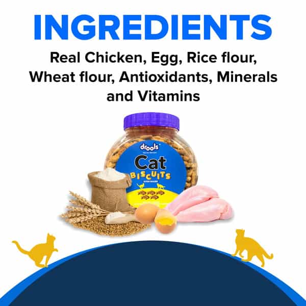 Drools Cat Treat Biscuits Real Chicken Flavor 400G Jar