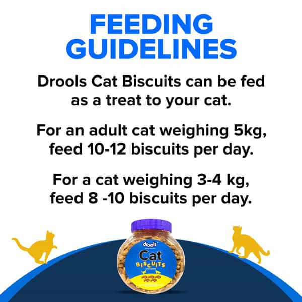 Drools Cat Treat Biscuits Real Chicken Flavor 400G Jar