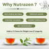 Nutrazen Eternal Brew Green Tea For Weight Management | 30 Tea Bags