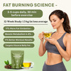 Nutrazen Eternal Brew Green Tea For Weight Management | 30 Tea Bags