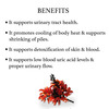 Bixa Botanical Palash Flower Powder (Butea Monosperma) | Supports Urinary Tract Health 200G