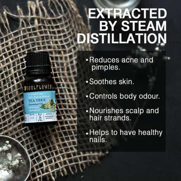 Soulflower Teatree Essential Oil 15Ml