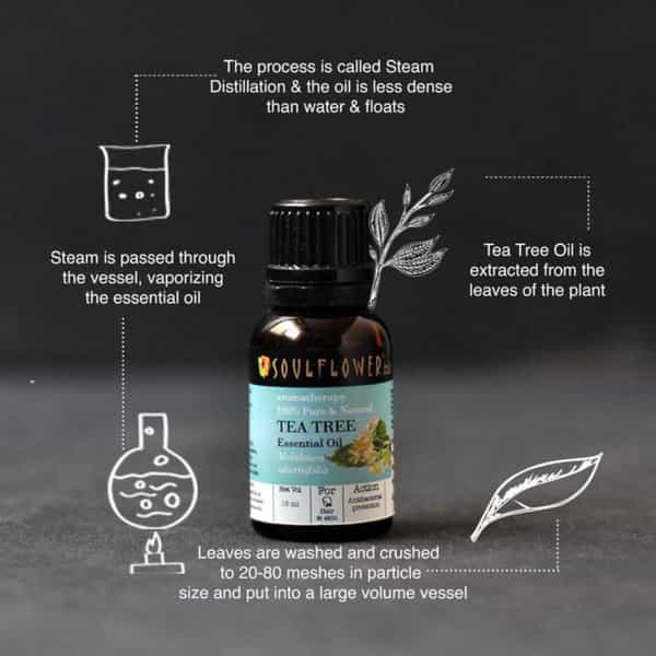 Soulflower Teatree Essential Oil 15Ml