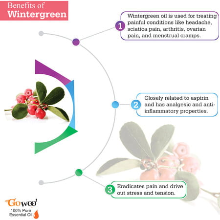Go Woo 100% Pure Wintergreen Oil Pure Virgin For Skin Care & Hair Treatment 50 Ml