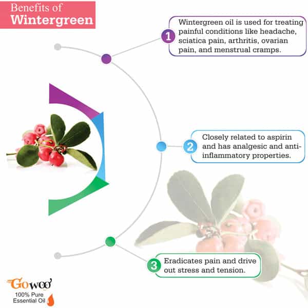 Go Woo 100% Pure Wintergreen Oil Pure Virgin For Skin Care & Hair Treatment 50 Ml
