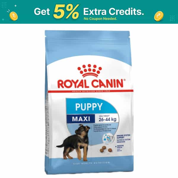 Royal Canin Maxi Puppy Food | 15 Kg | Dry Food | Supports Immune System & Digestive Health