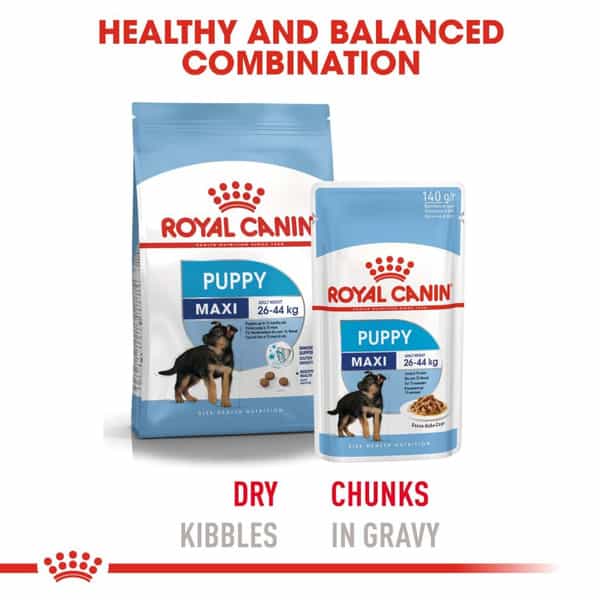 Royal Canin Maxi Puppy Food | 15 Kg | Dry Food | Supports Immune System & Digestive Health