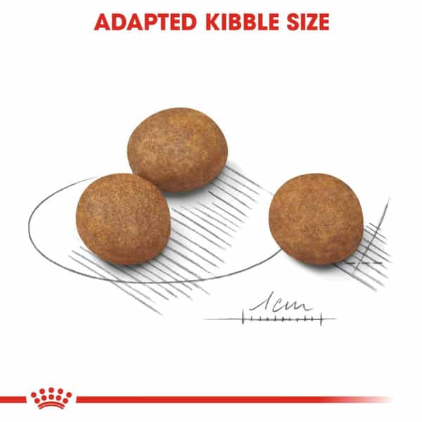 Royal Canin Maxi Puppy Food | 15 Kg | Dry Food | Supports Immune System & Digestive Health