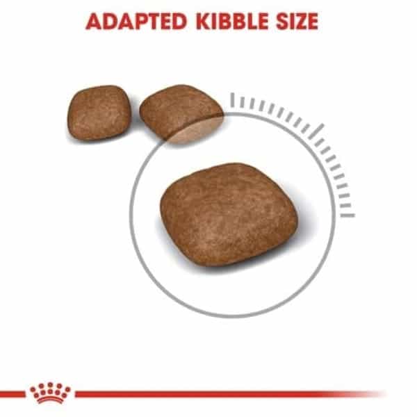 Royal Canin Feline Care Nutrition Urinary Care Dry Cat Food 2 Kg