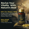 Nidco Shilajit Gold Tablets (45 Tabs)