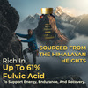Nidco Shilajit Gold Tablets (45 Tabs)