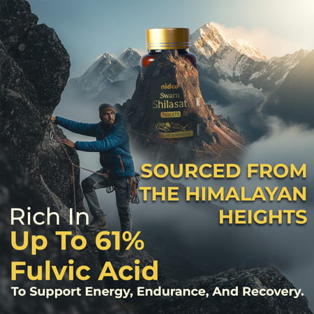 Nidco Shilajit Gold Tablets (45 Tabs)