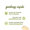 Plum Green Tea Clear Face Mask- 60 Gm