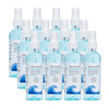 Maxisoft Sea Breeze Sanitizer Spray | Aloe Vera Neem & Vitamin E (120 Ml Pack Of 12)