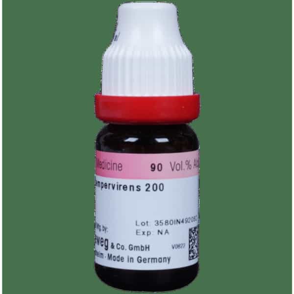Dr. Reckeweg Gelsemium Sempervirens Dilution 200 Ch 11 Ml