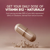 Rasayanam Plant-Based Vitamin B12 | Energy | Nerve & Brain Health | 60 Capsules (Pack Of 2)