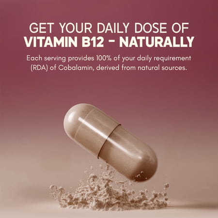 Rasayanam Plant-Based Vitamin B12 | Energy | Nerve & Brain Health | 60 Capsules (Pack Of 2)