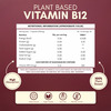 Rasayanam Plant-Based Vitamin B12 | Energy | Nerve & Brain Health | 60 Capsules (Pack Of 2)
