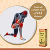 Baidyanath Asli Ayurved Rasraj Ras Gold 5 Tablets