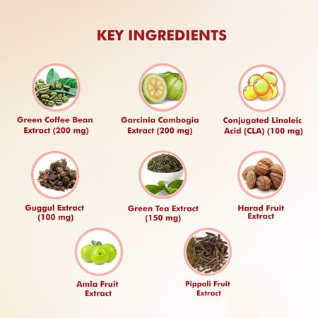 Dr. Morepen Biotin+ Advanced Tablet & Fat Burner Tablet | Combo