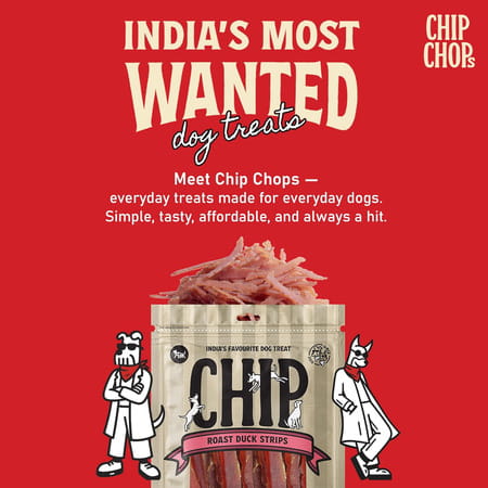 Chip Chops Roast Duck Slice Dog Treat