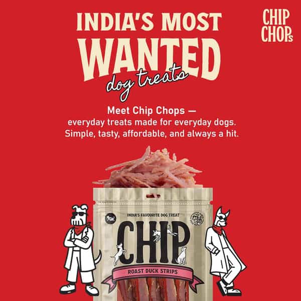 Chip Chops Roast Duck Slice Dog Treat