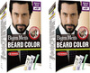 Bigen Men's Beard Color Natural Black B101 40G (Pack Of 2)