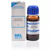Sbl Crataegus Oxyacantha Q Mother Tincture 30 Ml Pack Of 2