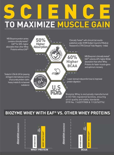 Muscleblaze Biozyme Iso-Zero | Low Carb Whey Protein Isolate Powder | Ice Cream Chocolate | 2Kg