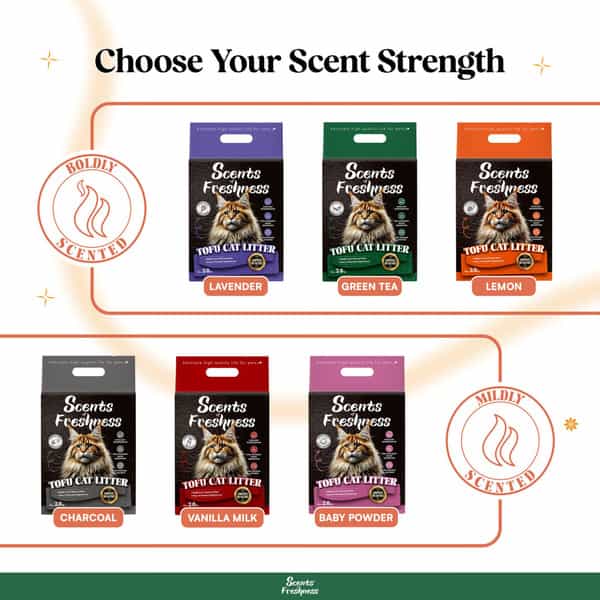Scents Of Freshness - Premium Grade: 2 Percent Scent Green Tea Original Color - 2.8Kg - 2Mm (Green)
