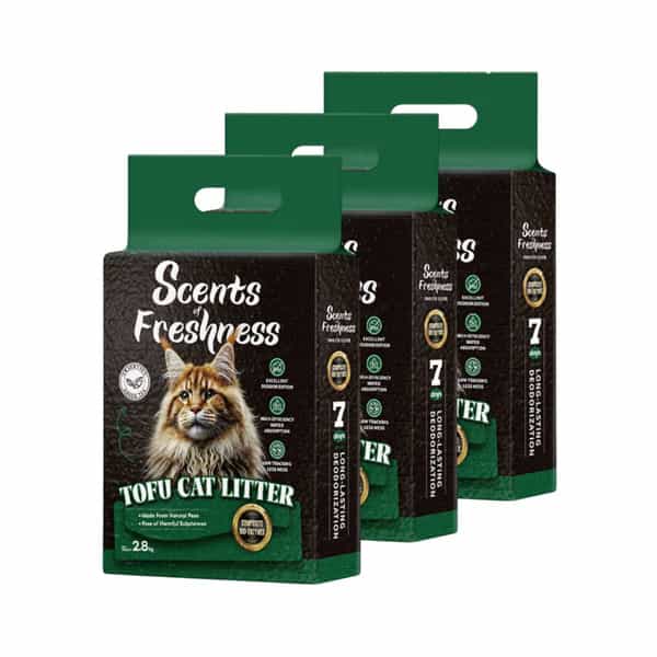 Scents Of Freshness - Premium Grade: 2 Percent Scent Green Tea Original Color - 2.8Kg - 2Mm (Green)
