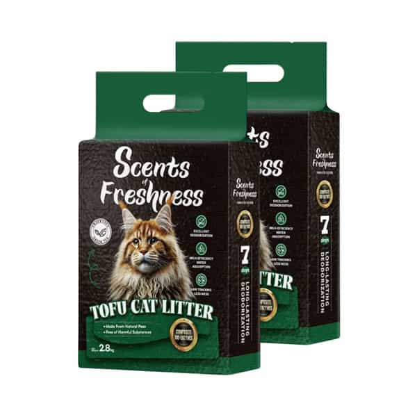 Scents Of Freshness - Premium Grade: 2 Percent Scent Green Tea Original Color - 2.8Kg - 2Mm (Green)