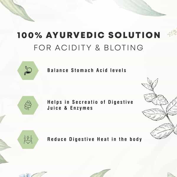 Four Seasons Digestive Care Udar Amrit Juice Juice 1L | Helps Relief From Acidity & Bloating