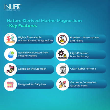 Inlife Marine Magnesium Supplement 1060mg | Muscle Function | Metabolism & Daily Wellness | 30 N
