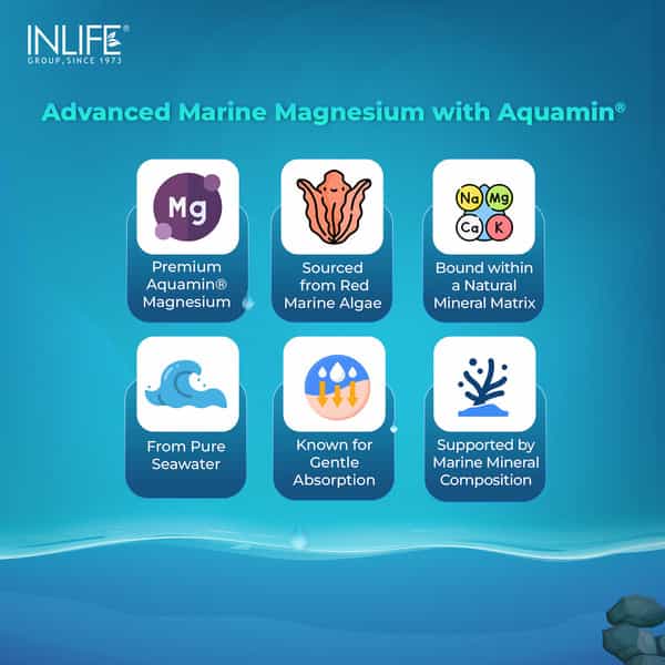 Inlife Marine Magnesium Supplement 1060Mg | Muscle Function | Metabolism & Daily Wellness | 30 N