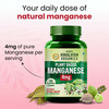 Vlado's Himalayan Organics Plant Based Manganese 4Mg Supplement | Trace Mineral Supplement - 120N