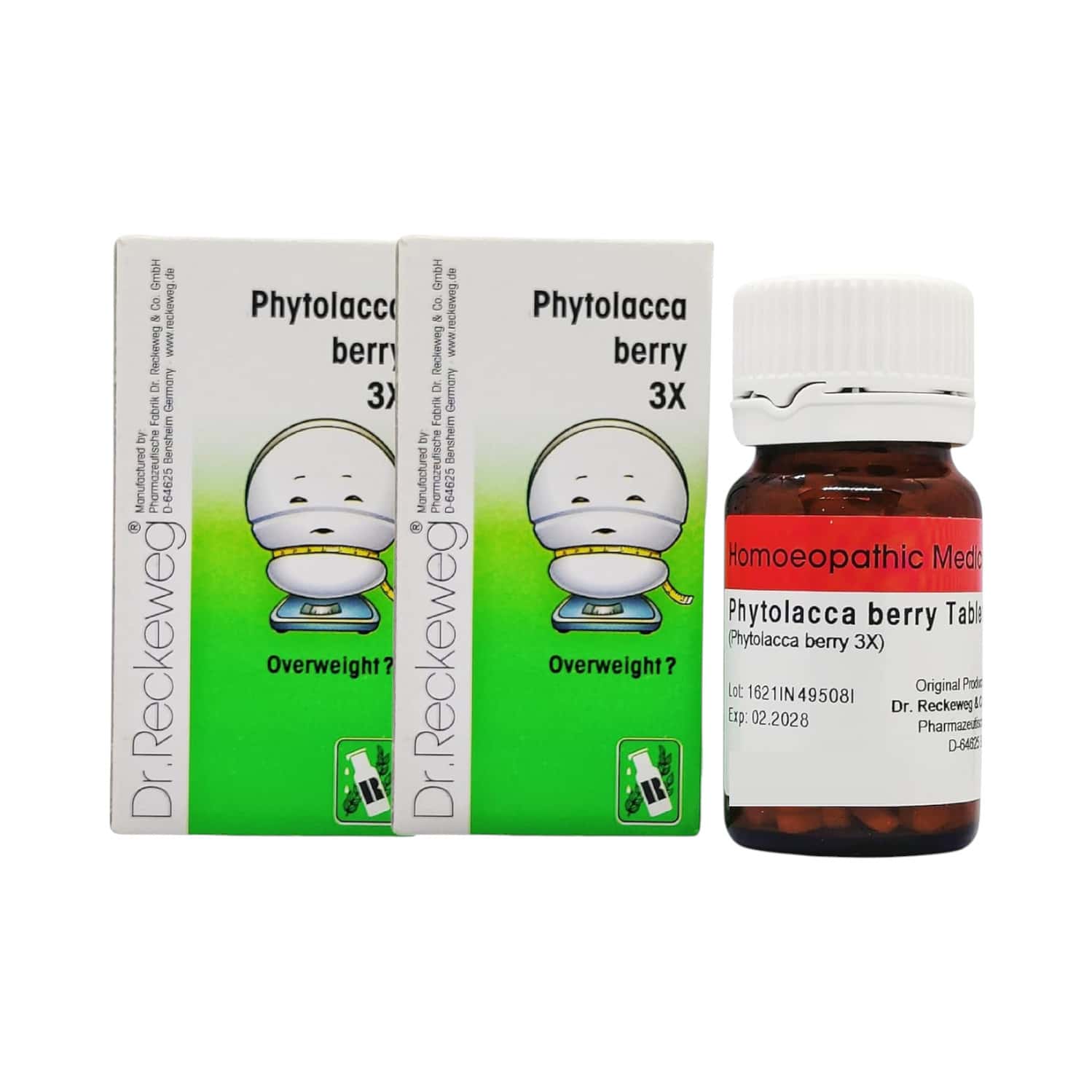 Dr. Reckeweg Phytolacca Berry 3x 20g ( Pack Of 2)