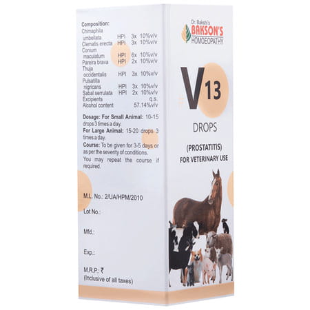 Dr Bakshi'S Bakson Homoeopathy B16 Vertigo Drops 30 Ml